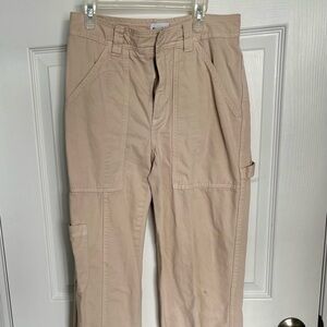 Aritzia carpenter pants